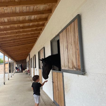 House Of Horses Shtepia E Kuajve Hotel Korce Luaran gambar