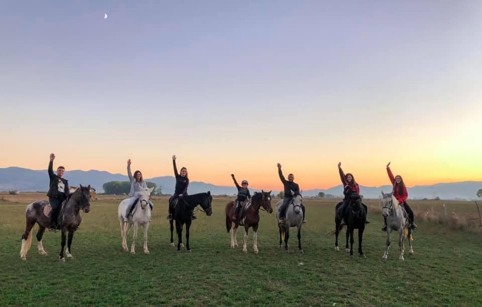 House Of Horses Shtepia E Kuajve Hotel Korce Luaran gambar