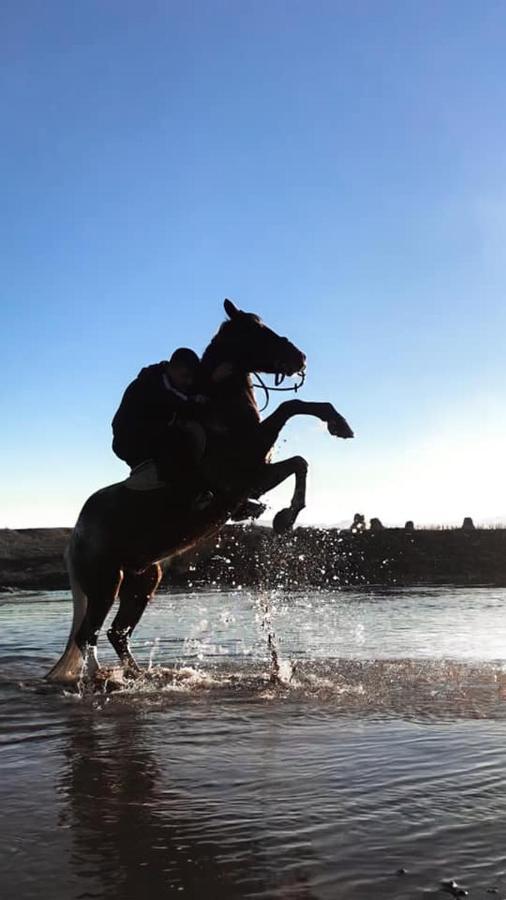 House Of Horses Shtepia E Kuajve Hotel Korce Luaran gambar