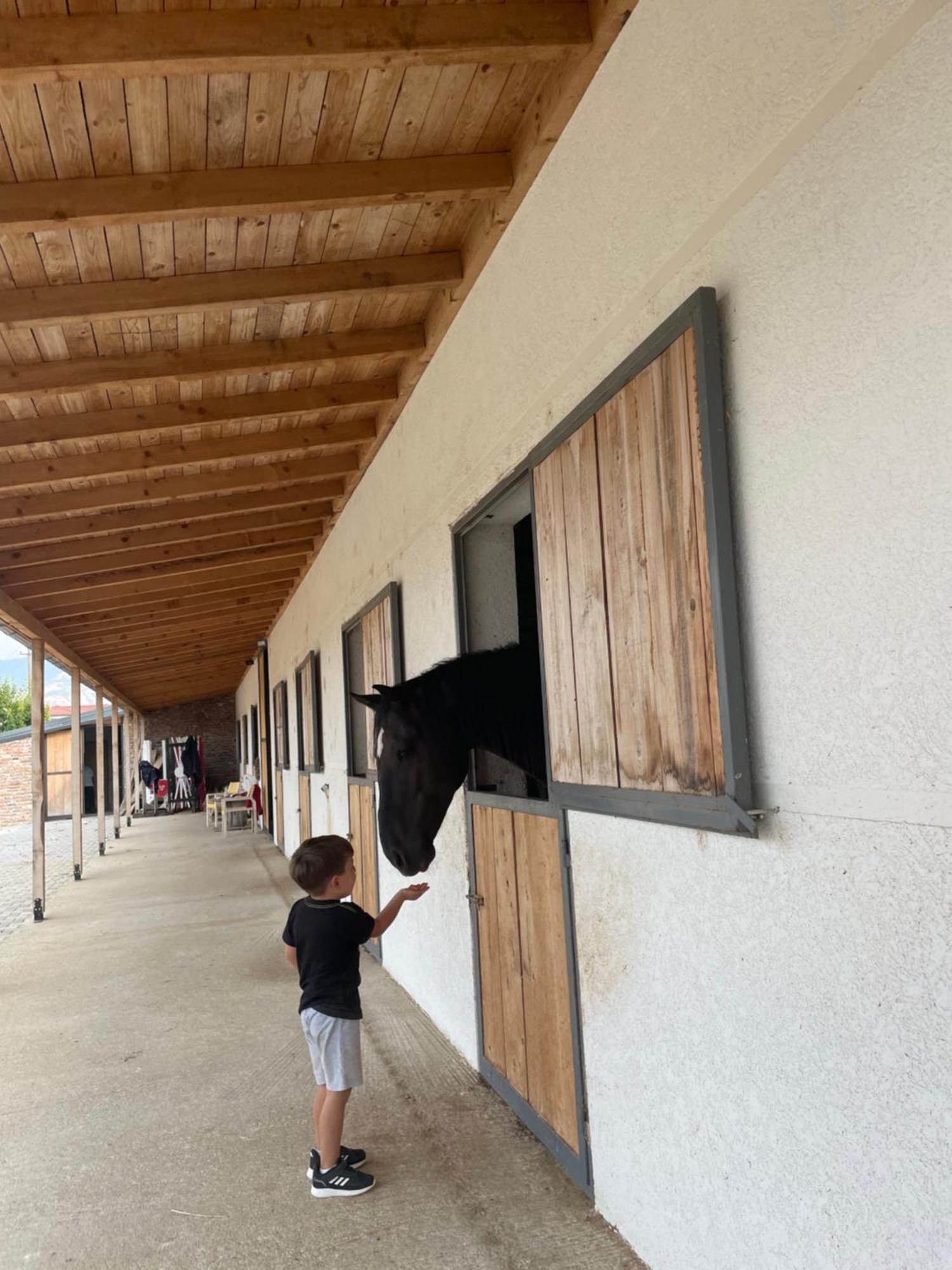 House Of Horses Shtepia E Kuajve Hotel Korce Luaran gambar